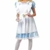 Alice In Wonderland Adult Costume