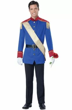 Storybook Prince Adult Costume