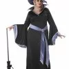 Plus Size Incantasia, The Glamour Witch Costume