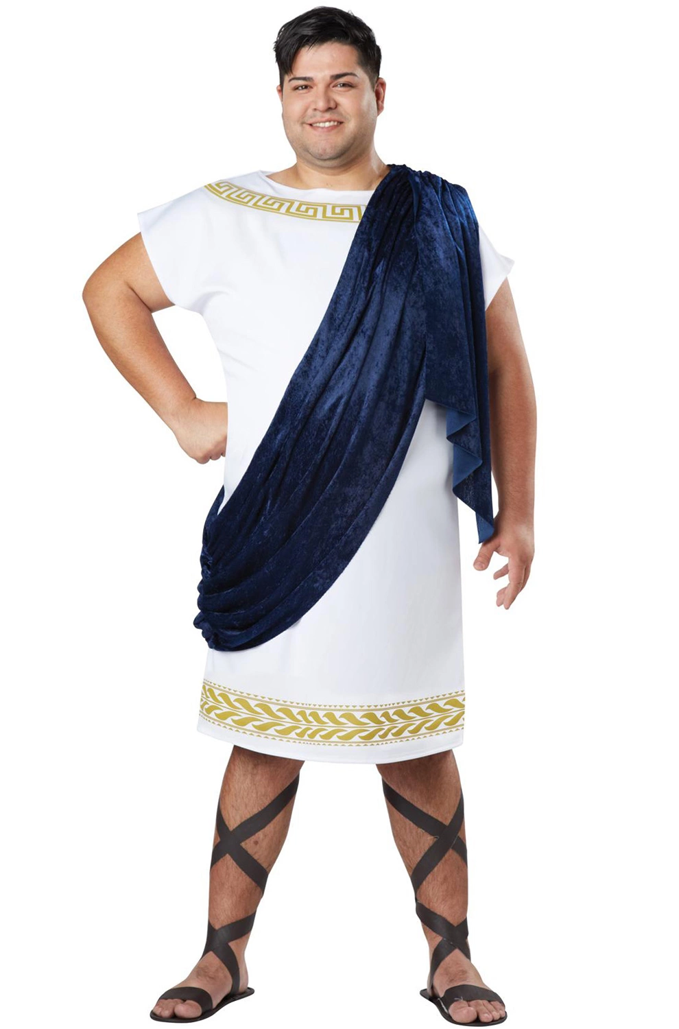 Grecian Toga Plus Size Costume 3 Grecian Toga Plus Size Costume