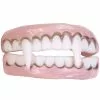 Vampire Character Teeth Accessory -Outlet Costumes Store F9328 full 1