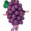 Purple Grapes Child Costume -Outlet Costumes Store FM74174 full 1