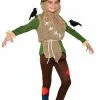 Playful Scarecrow Child Costume (Medium) -Outlet Costumes Store FM83788 full 1