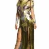 WW Deluxe Hippolyta Adult Costume 1 WW Deluxe Hippolyta Adult Costume -Outlet Costumes Store R820457 full 1