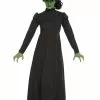 Witch Of The West Adult Costume