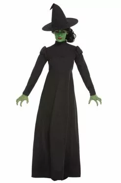 Witch Of The West Adult Costume