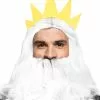 Triton/Zeus Adult Wig -Outlet Costumes Store SR10129 full 1